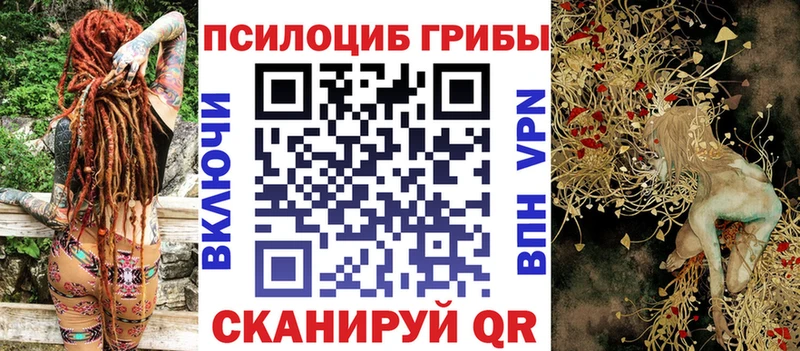 Галлюциногенные грибы Psilocybe  Тетюши 